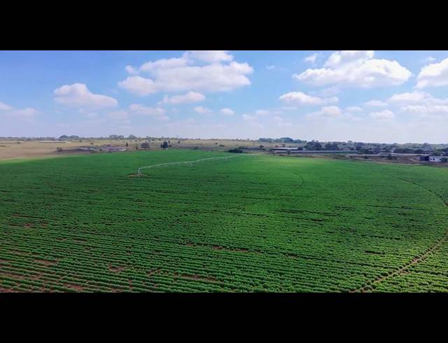 FARM FOR SALE IN VASFONTEIN